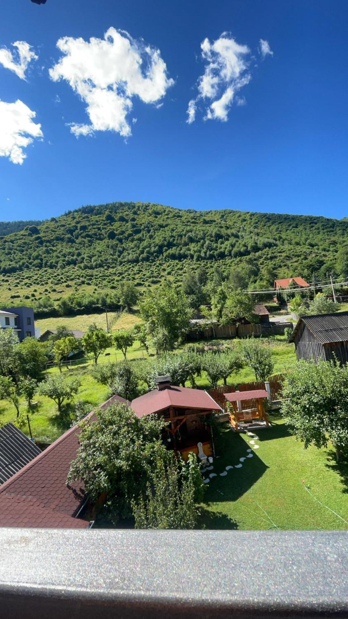 Pensiunea Vatafu Gura Rîului Dış mekan fotoğraf
